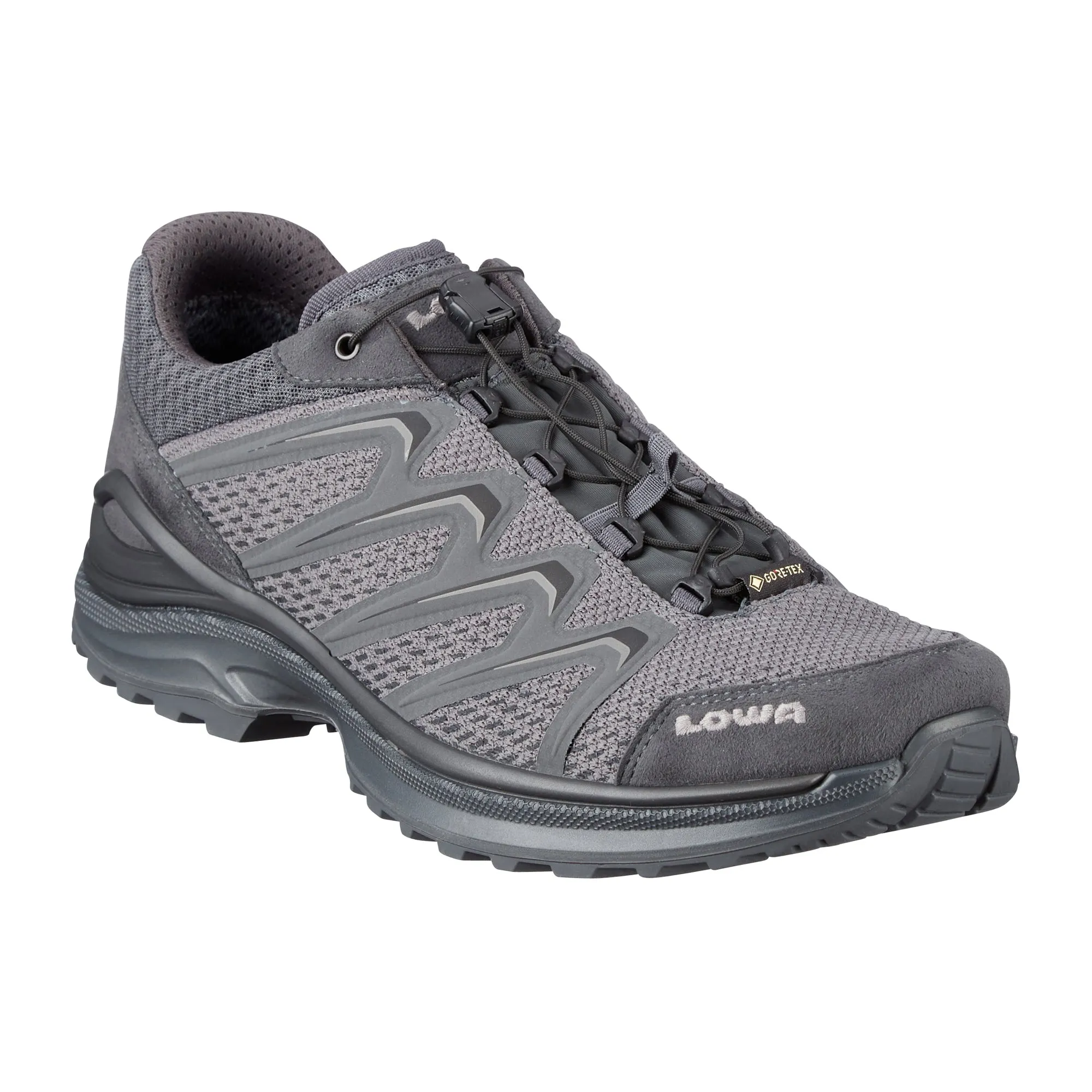 Chaussures Maddox GTX Lo TF loup