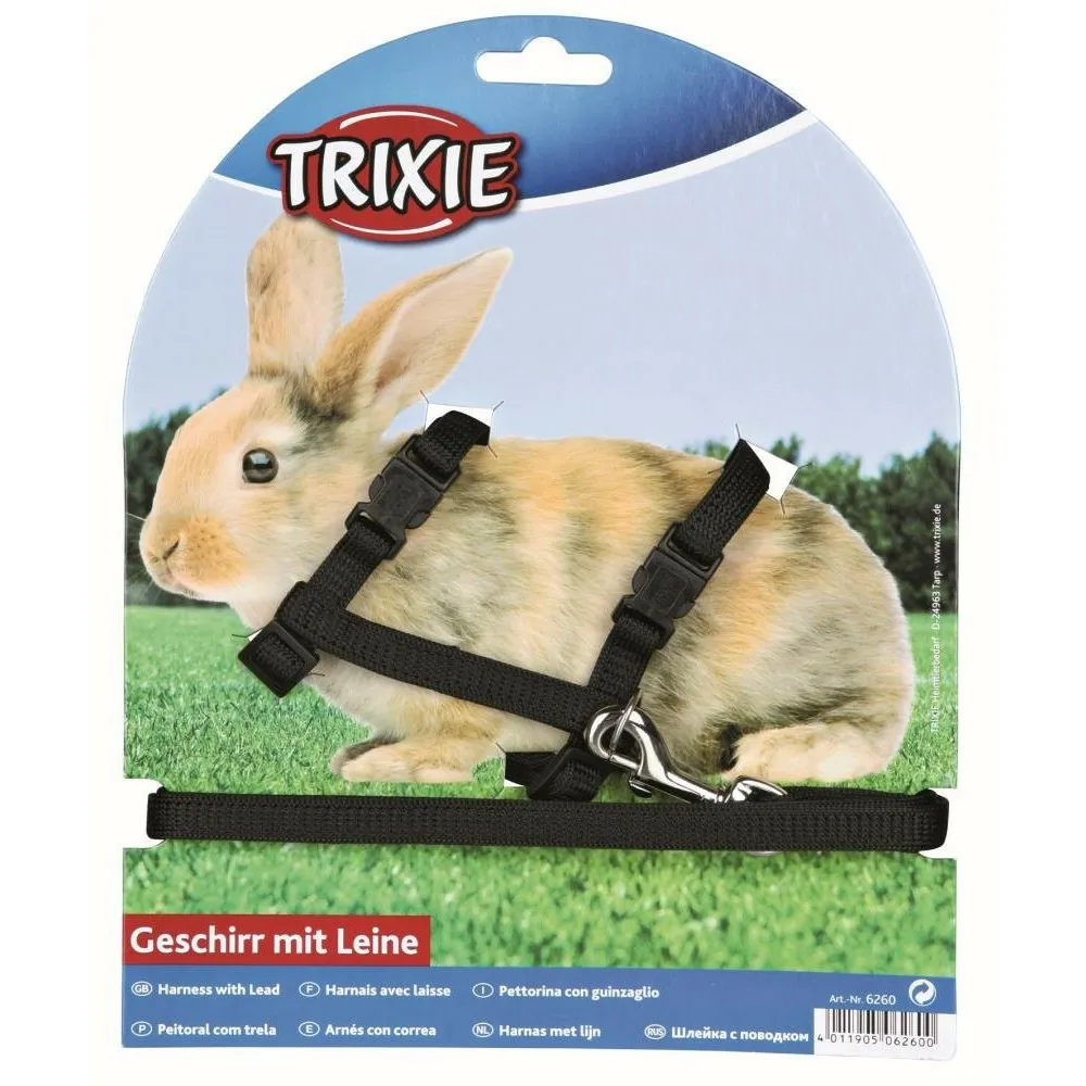 Harnais avec laisse pour lapins. Couleur aléatoire.