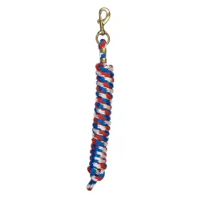 Laisse en nylon Twist