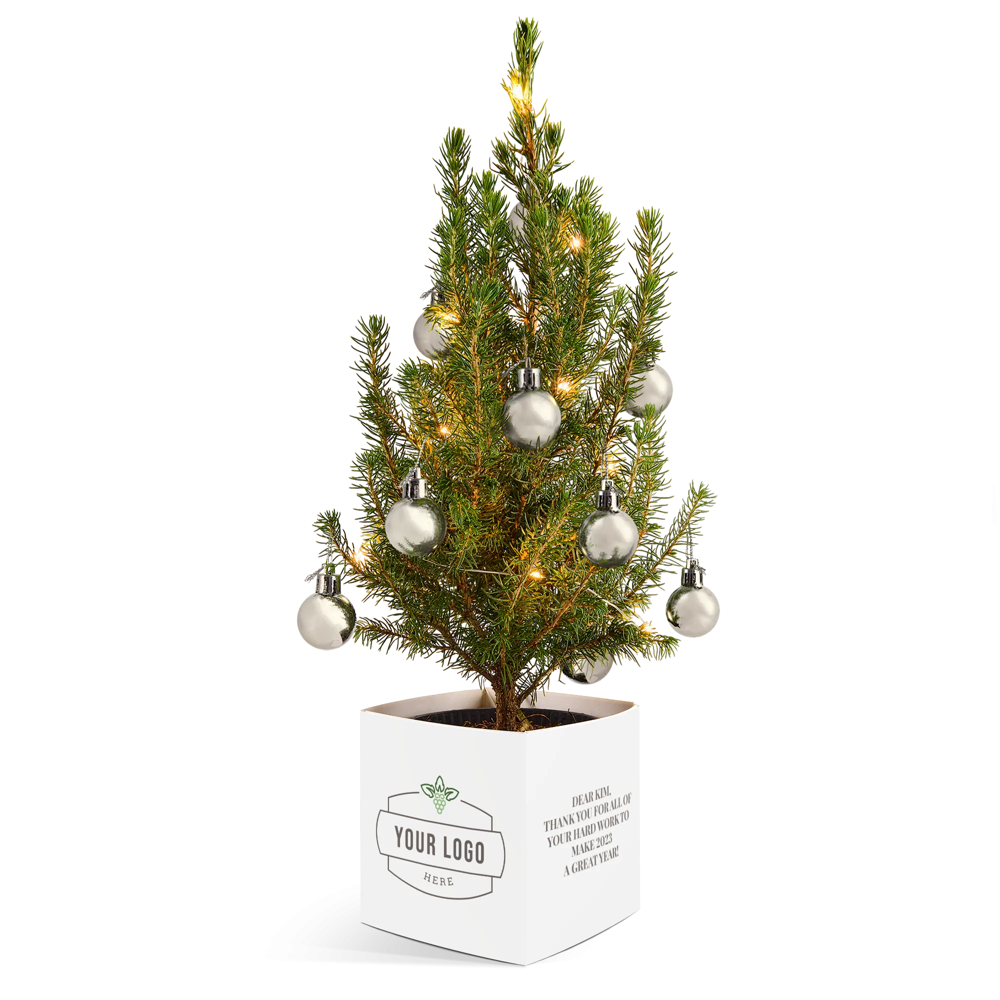 Mini Sapin de Noël dans un Pot Personnalisé | YourSurprise
