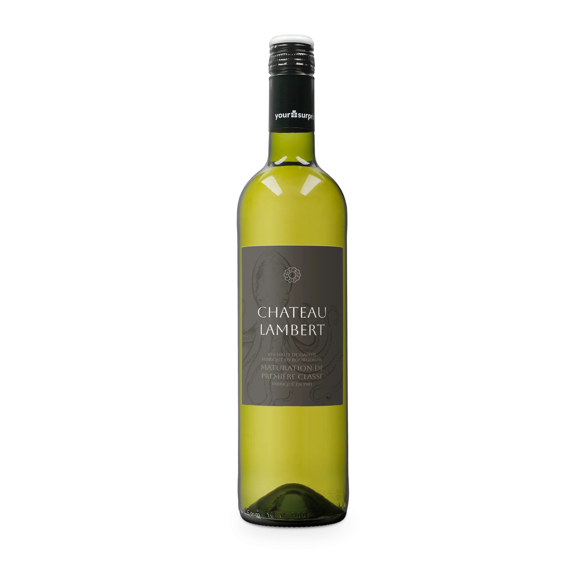 Vin Maison de la Surprise Sauvignon Blanc | YourSurprise